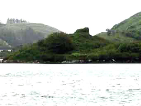 Cloghan Island